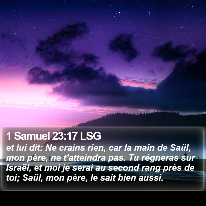 1 Samuel 23:17 LSG Bible Study