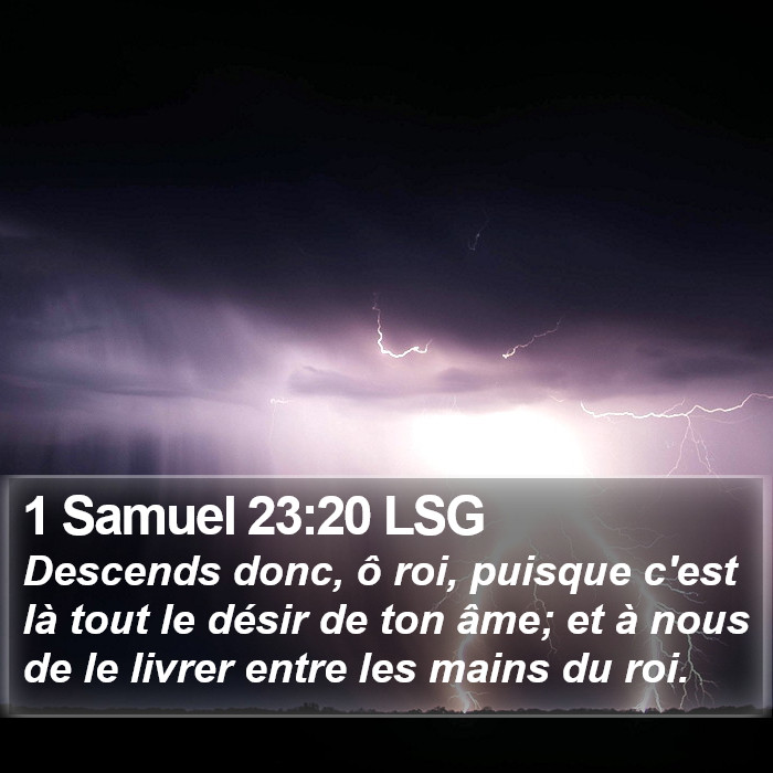 1 Samuel 23:20 LSG Bible Study