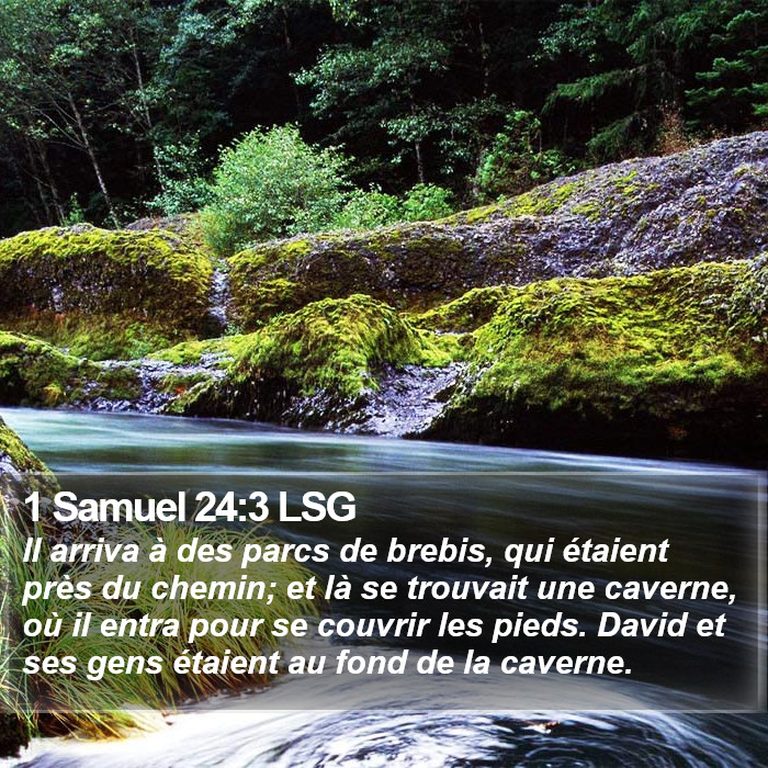 1 Samuel 24:3 LSG Bible Study