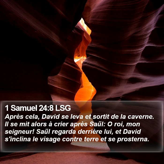 1 Samuel 24:8 LSG Bible Study