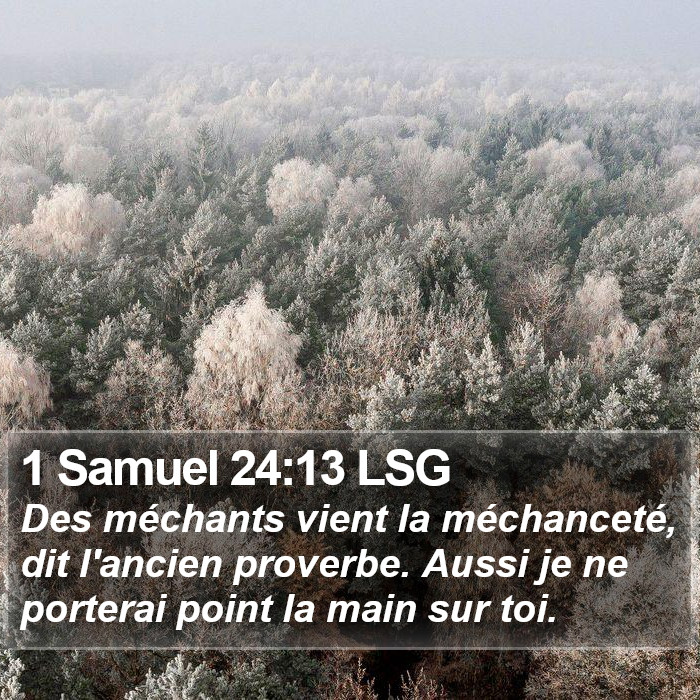 1 Samuel 24:13 LSG Bible Study