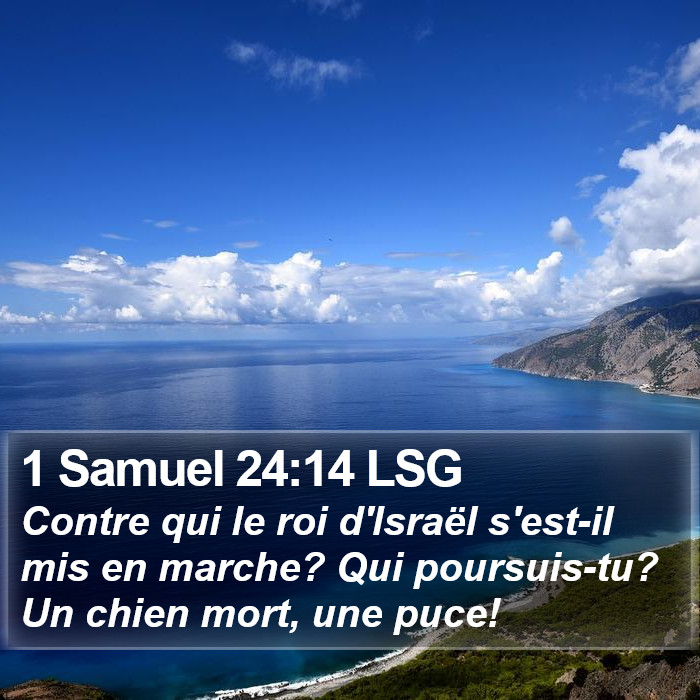 1 Samuel 24:14 LSG Bible Study