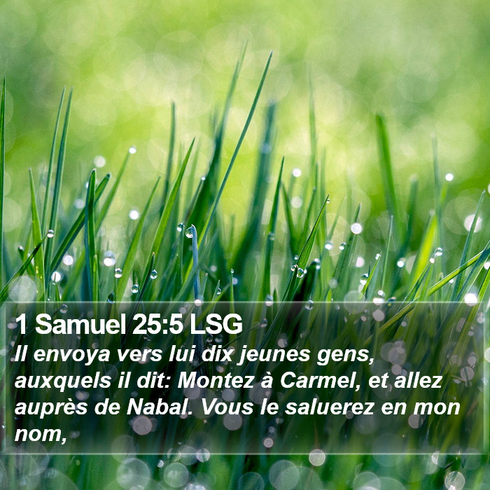 1 Samuel 25:5 LSG Bible Study