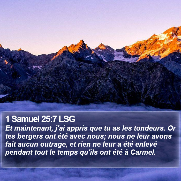 1 Samuel 25:7 LSG Bible Study