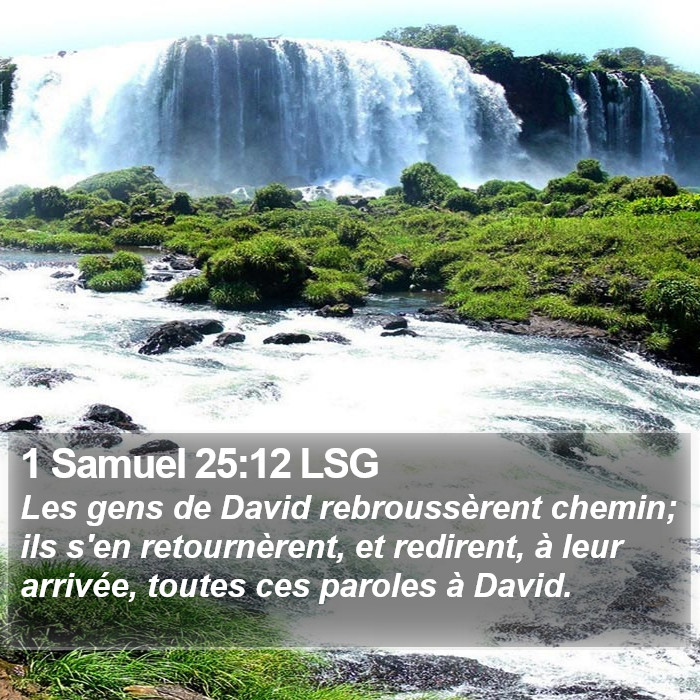 1 Samuel 25:12 LSG Bible Study