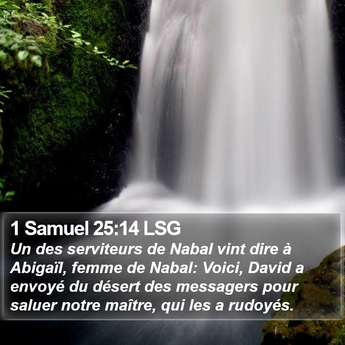 1 Samuel 25:14 LSG Bible Study