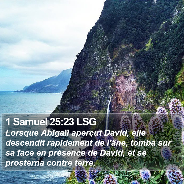 1 Samuel 25:23 LSG Bible Study