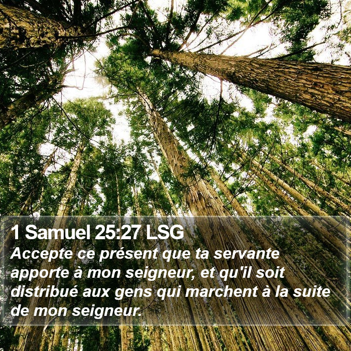 1 Samuel 25:27 LSG Bible Study