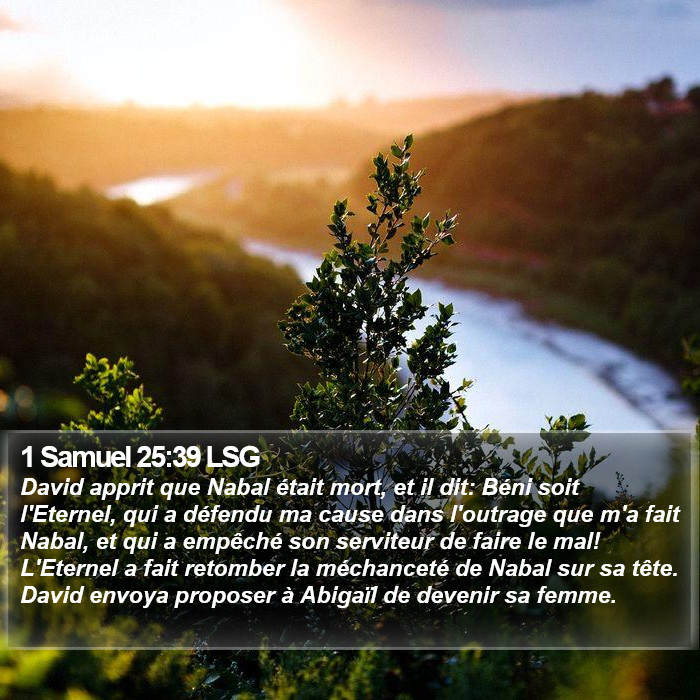 1 Samuel 25:39 LSG Bible Study