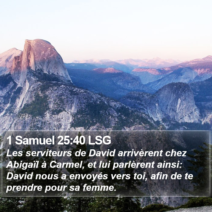 1 Samuel 25:40 LSG Bible Study