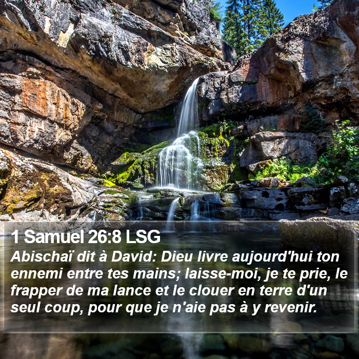 1 Samuel 26:8 LSG Bible Study