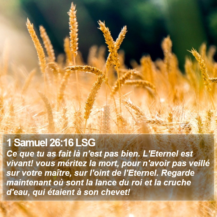 1 Samuel 26:16 LSG Bible Study