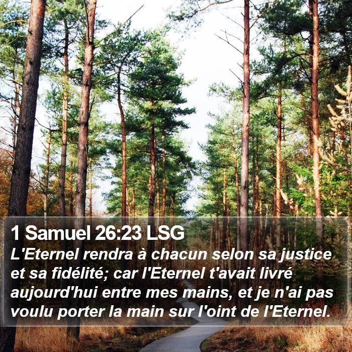 1 Samuel 26:23 LSG Bible Study