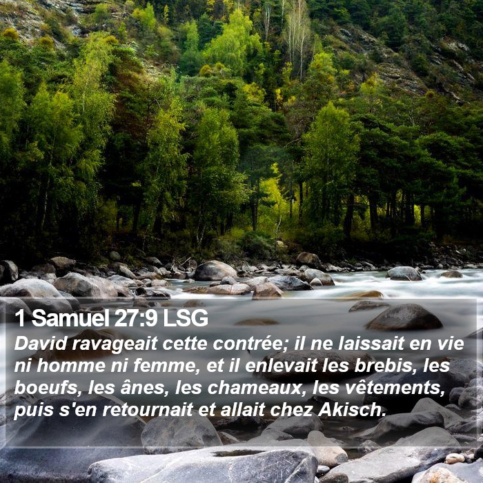 1 Samuel 27:9 LSG Bible Study