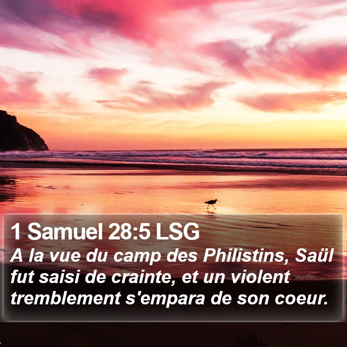 1 Samuel 28:5 LSG Bible Study