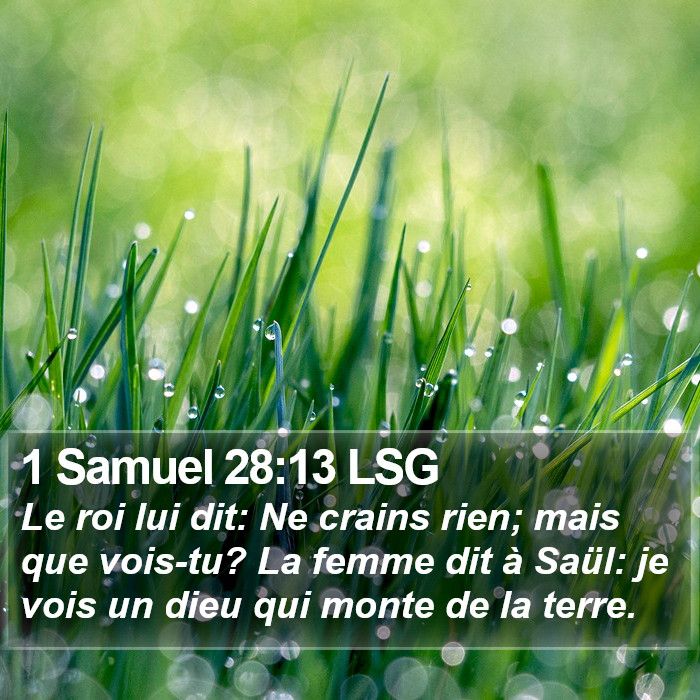 1 Samuel 28:13 LSG Bible Study