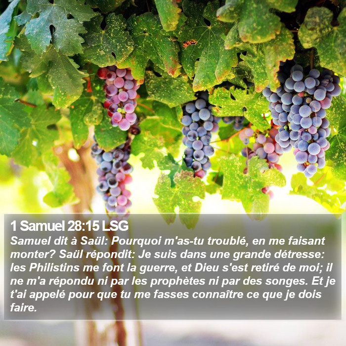 1 Samuel 28:15 LSG Bible Study