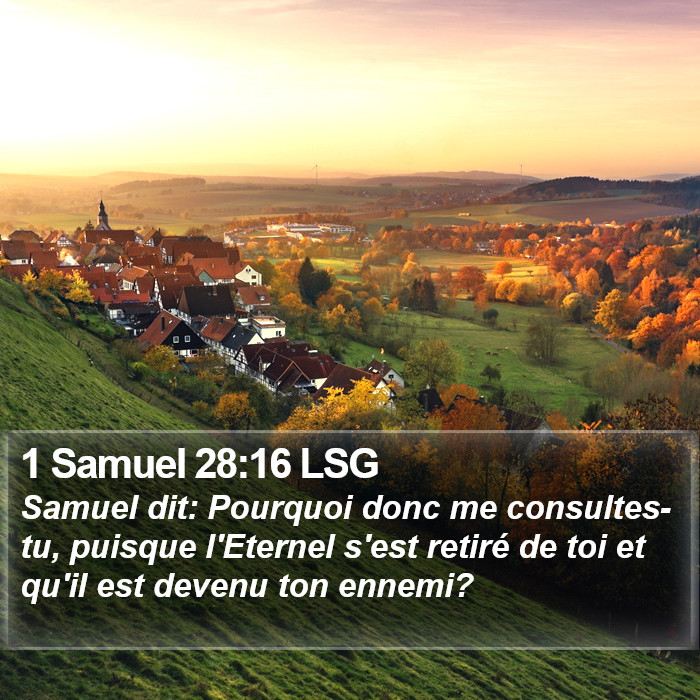 1 Samuel 28:16 LSG Bible Study
