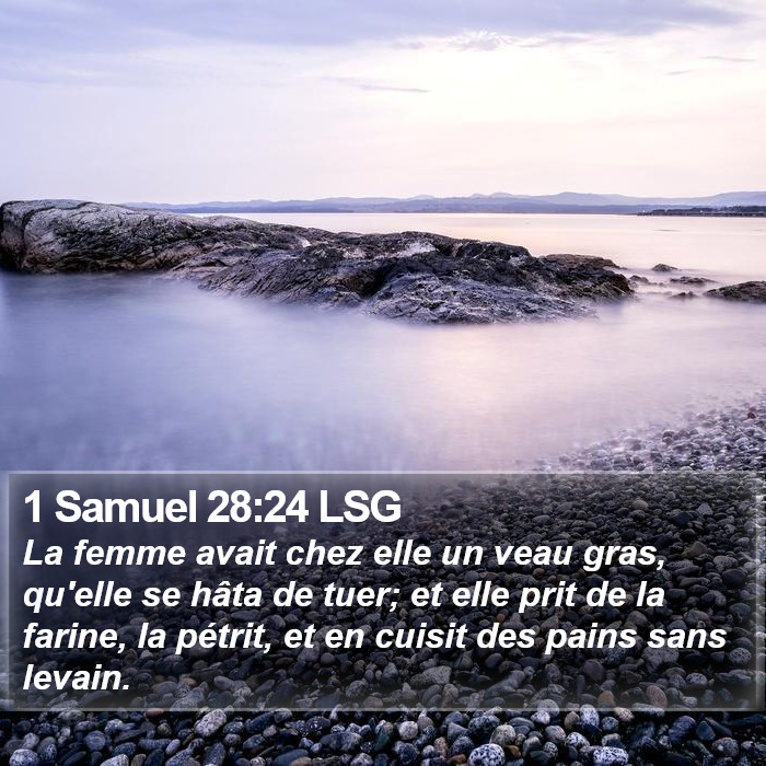 1 Samuel 28:24 LSG Bible Study