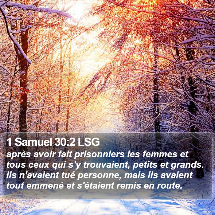 1 Samuel 30:2 LSG Bible Study