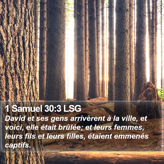 1 Samuel 30:3 LSG Bible Study