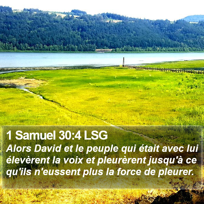 1 Samuel 30:4 LSG Bible Study