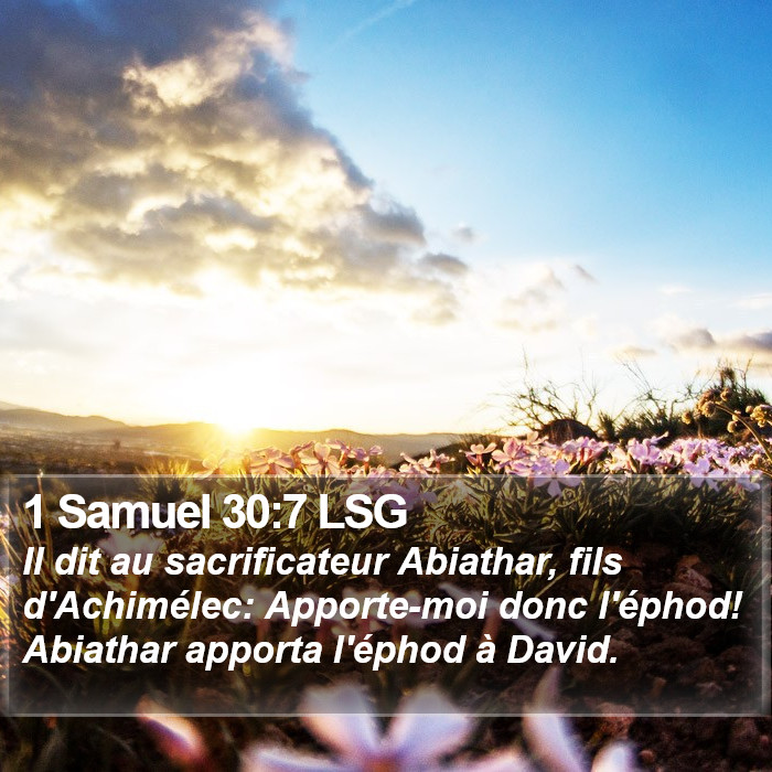 1 Samuel 30:7 LSG Bible Study