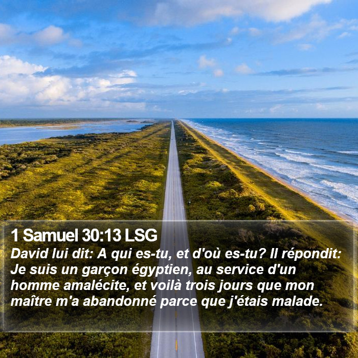1 Samuel 30:13 LSG Bible Study