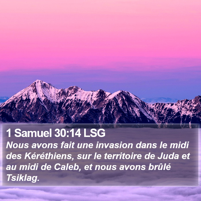 1 Samuel 30:14 LSG Bible Study