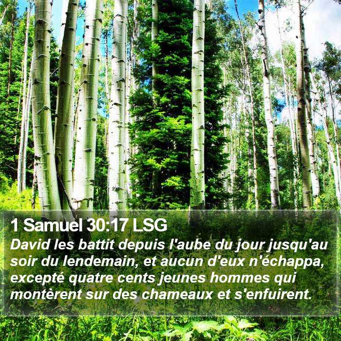 1 Samuel 30:17 LSG Bible Study