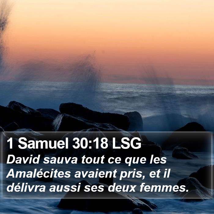1 Samuel 30:18 LSG Bible Study