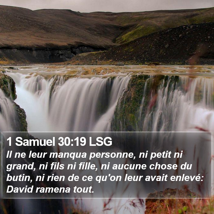 1 Samuel 30:19 LSG Bible Study