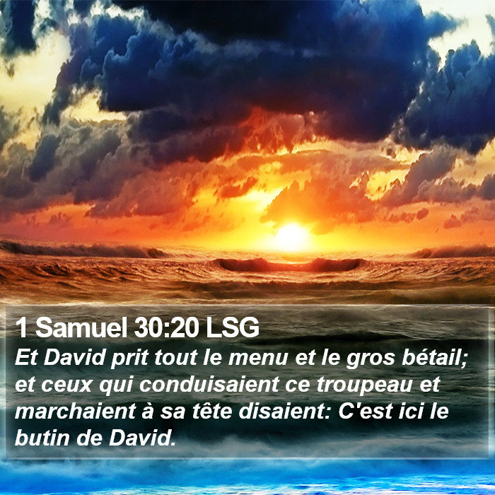 1 Samuel 30:20 LSG Bible Study