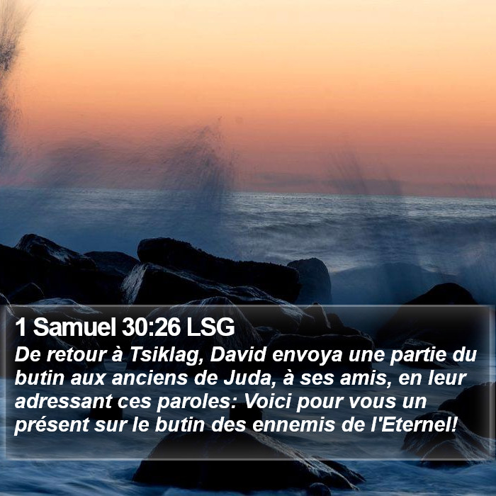 1 Samuel 30:26 LSG Bible Study