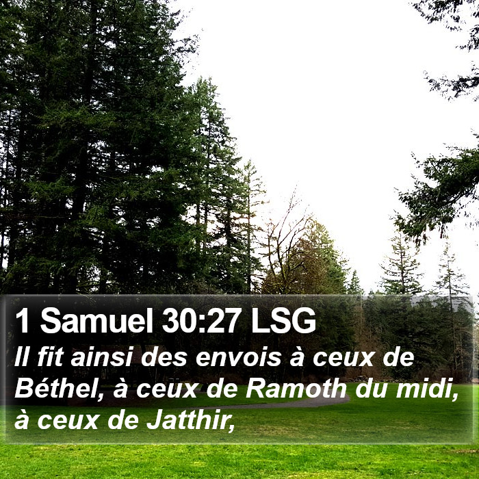 1 Samuel 30:27 LSG Bible Study