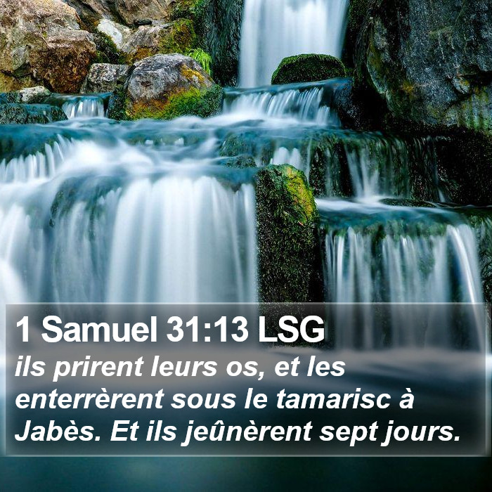 1 Samuel 31:13 LSG Bible Study