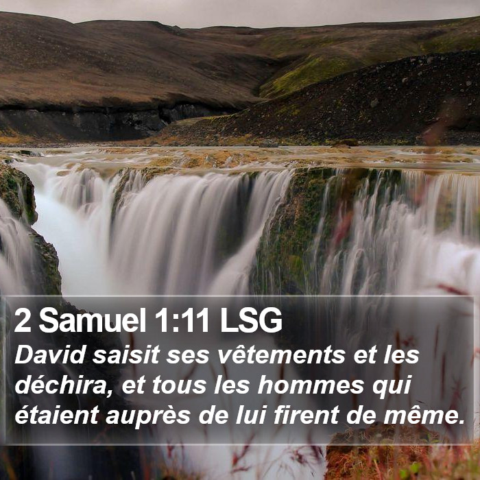 2 Samuel 1:11 LSG Bible Study