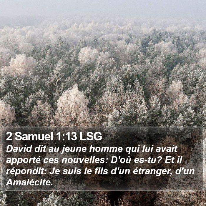 2 Samuel 1:13 LSG Bible Study