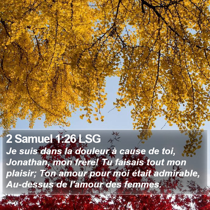 2 Samuel 1:26 LSG Bible Study