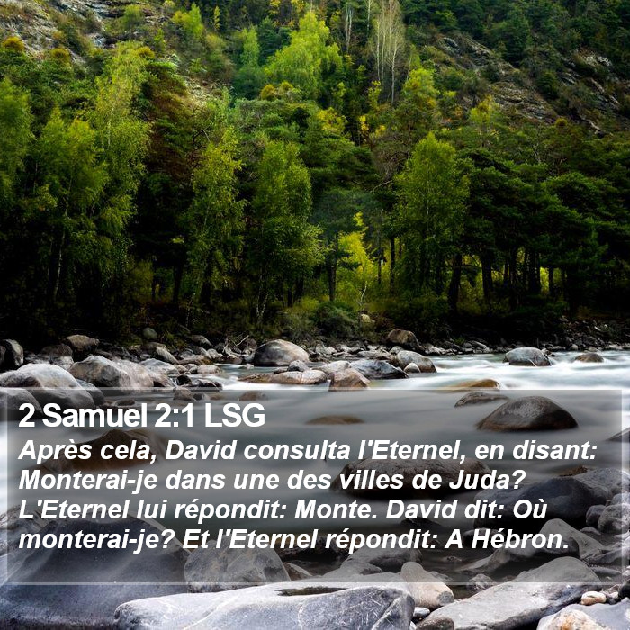 2 Samuel 2:1 LSG Bible Study