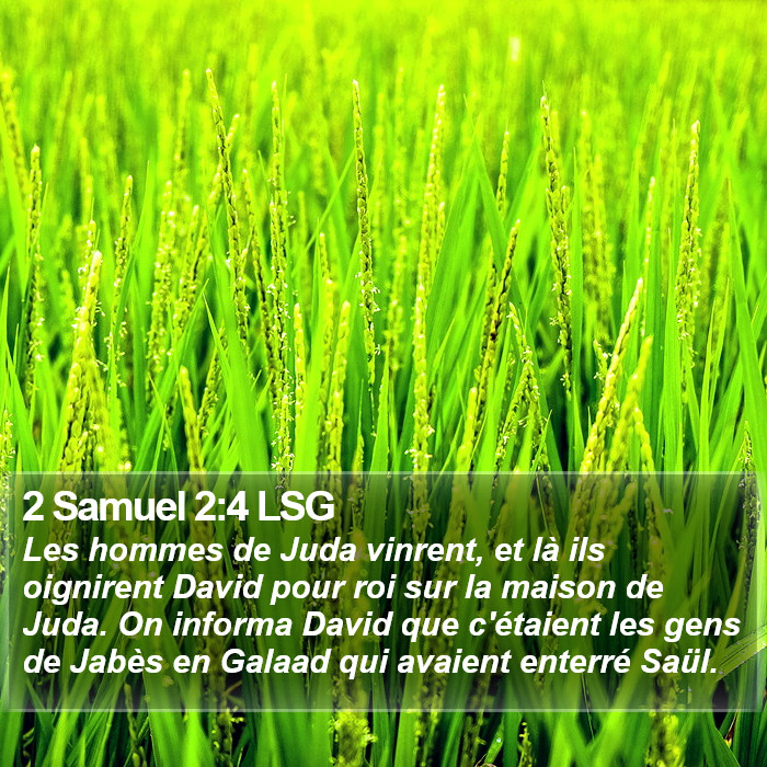 2 Samuel 2:4 LSG Bible Study