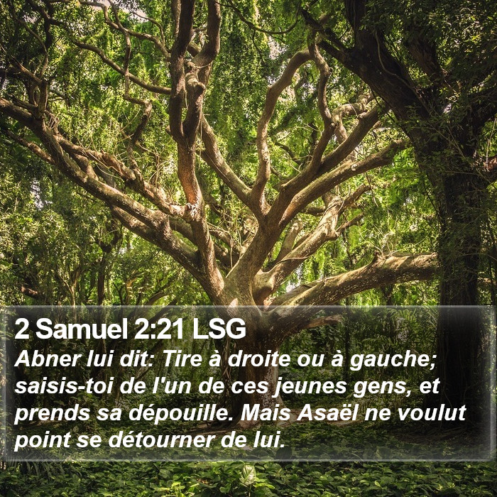 2 Samuel 2:21 LSG Bible Study