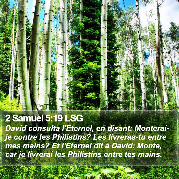 2 Samuel 5:19 LSG Bible Study