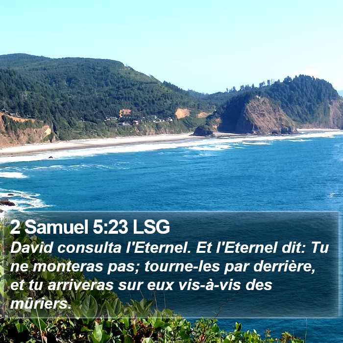 2 Samuel 5:23 LSG Bible Study