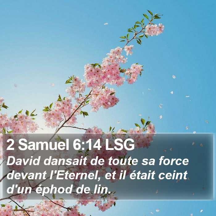 2 Samuel 6:14 LSG Bible Study