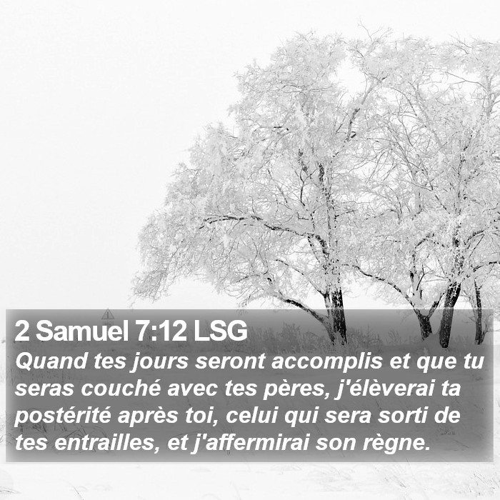 2 Samuel 7:12 LSG Bible Study