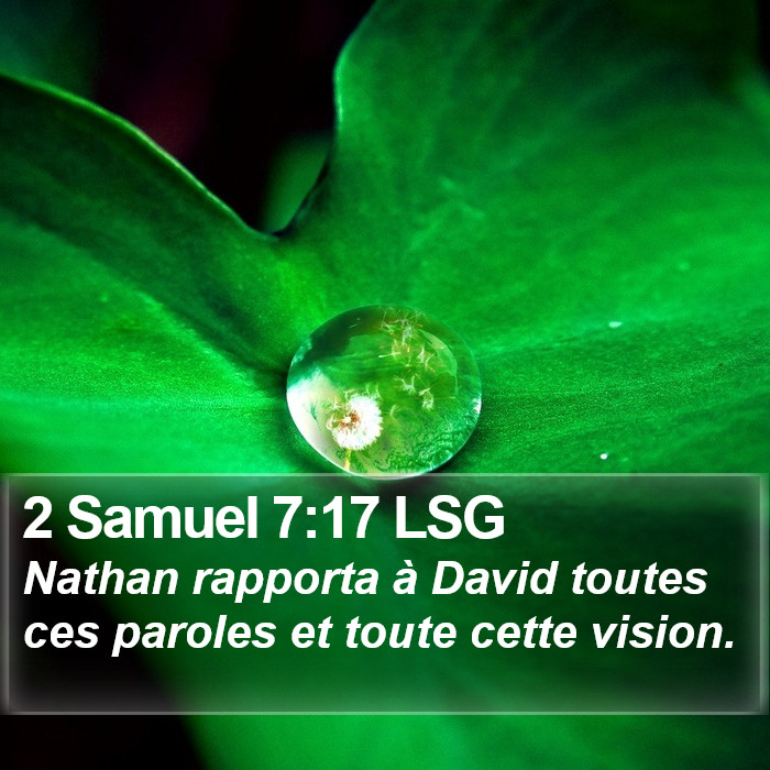 2 Samuel 7:17 LSG Bible Study