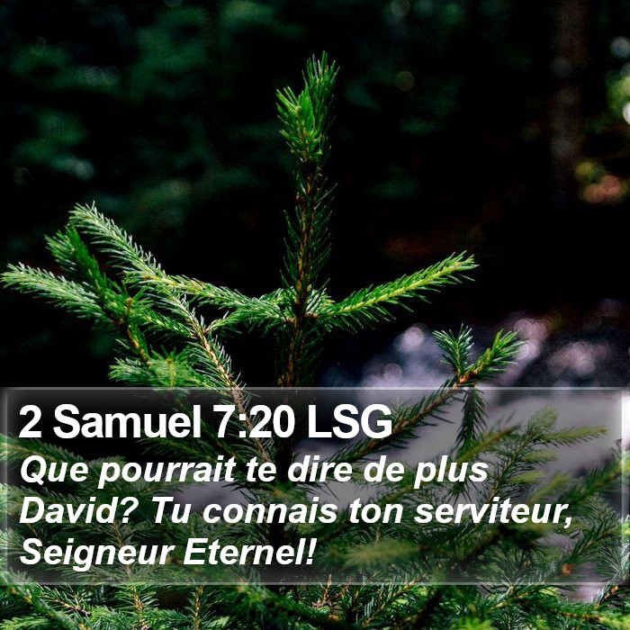 2 Samuel 7:20 LSG Bible Study