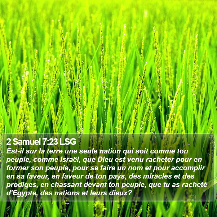 2 Samuel 7:23 LSG Bible Study