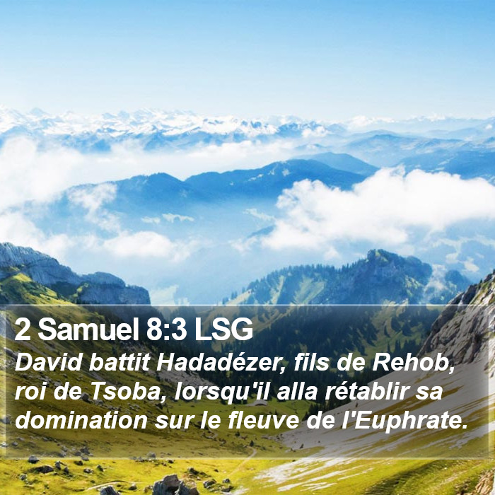 2 Samuel 8:3 LSG Bible Study